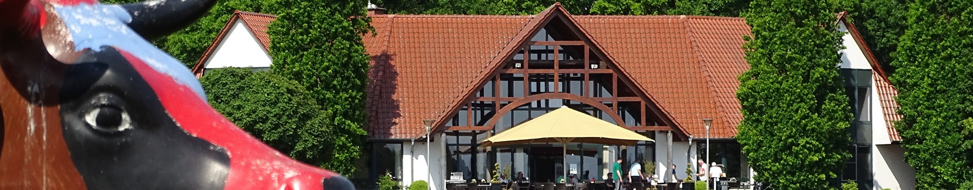 Günstige tadora
